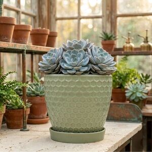 6 Inch Green Honeycomb Ceramic Planter with Attached Saucer